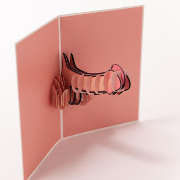 Happy Birthday, Dickhead